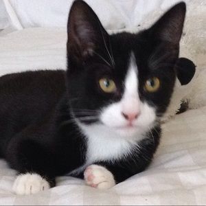 Meet your Posher, Jennifer